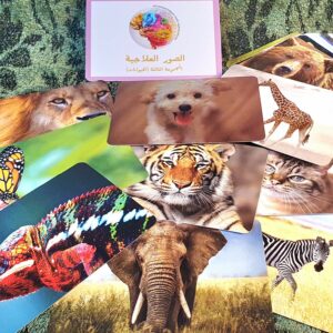 بطاقات الصّور العلاجيّة